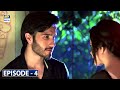 Tumse Mil Kay Episode 4 - Feroze Khan - Rabab Hashim - ARY Digital Drama