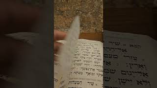 תפילות על עם ישראל בכותל המערבי (הרב רפאל זר) - התמונה מוצגת ישירות מתוך אתר האינטרנט יוטיוב. זכויות היוצרים בתמונה שייכות ליוצרה. קישור קרדיט למקור התוכן נמצא בתוך דף הסרטון