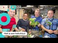 Kindvraag: Hoe kun je sla laten groeien in de ruimte?