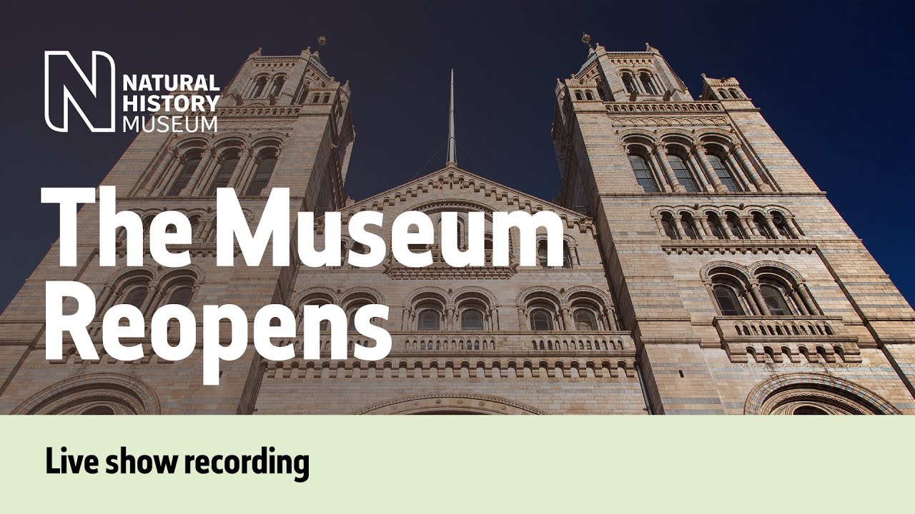 The Museum Reopens