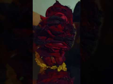 #music #beach #love #travel #edm #bollywood #newsong #song #foryou #dance