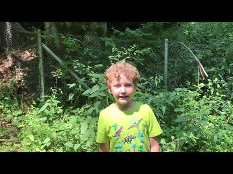 EaganZ Oude 2de wereldoorlog bunker.