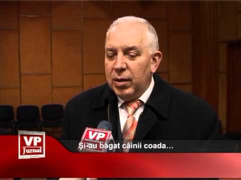 Și-au băgat câinii coada…