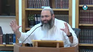 מצוות שילוח הקן - למה היא כזו חשובה בעיני ה'? | הרב אשר בוחבוט (ישיבת מכון מאיר) - התמונה מוצגת ישירות מתוך אתר האינטרנט יוטיוב. זכויות היוצרים בתמונה שייכות ליוצרה. קישור קרדיט למקור התוכן נמצא בתוך דף הסרטון מצוות שילוח הקן - למה היא כזו חשובה בעיני ה'? | הרב אשר בוחבוט (ישיבת מכון מאיר) - התמונה מוצגת ישירות מתוך אתר האינטרנט יוטיוב. זכויות היוצרים בתמונה שייכות ליוצרה. קישור קרדיט למקור התוכן נמצא בתוך דף הסרטון