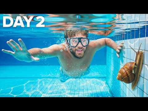 UNEMPLOYED and 4 more