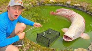 24 HOUR Fish Trap Catches The POND MONSTER!
