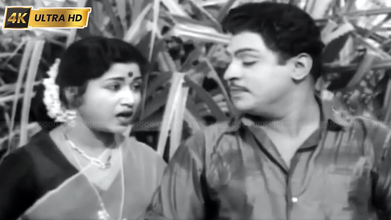 Andha Mugama Song Lyrics | Paditha Manaivi | T. M. Soundarajan, P. Susheela