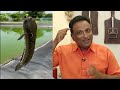 Tradition to eat Fish Curry on this special day. So made Fish Curry in tamarind Sauce spicy hot - Video