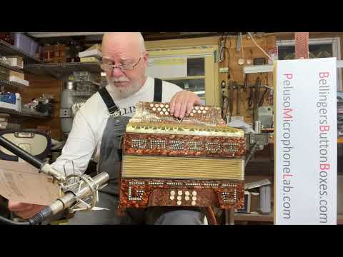 **376 REEDS!** Hohner 255 CF accordion five voice #606 (nfs)