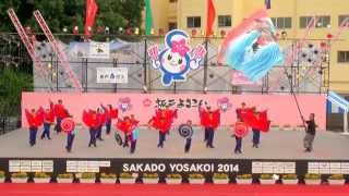 preview picture of video '鳴子連我笑　in　坂戸よさこい　2014'
