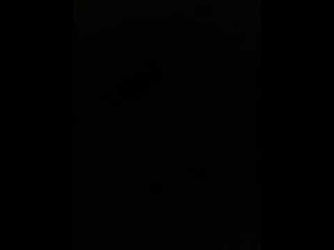 Oso blanco not my job freestyle