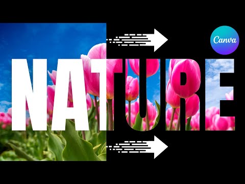 How to Create a Product Animation Video Ad in Canva Step by Step Guide
