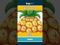 pineapple - piña video thumbnail