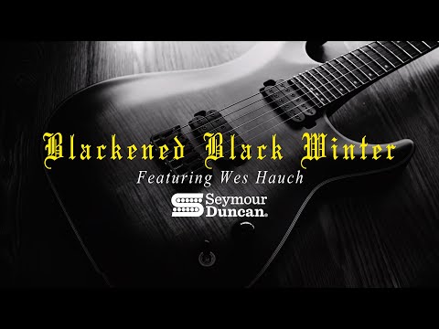 Seymour Duncan Blackened Black Winter Humbucker Set image 5