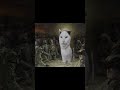 WE ARE SAFE THX CAT Tg Lobotomyclips