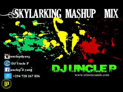 Skylarking Mashup Mix-Dj Uncle P