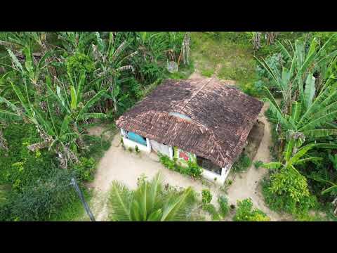 Video in the rural area of ​​Catende, Pernambuco, 8 km from the city, 10 hectares.