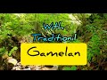 Javanese Gamelan Music Of Indonesia 2 Hours