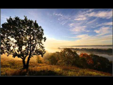 Roger Shah Feat. Moya Brennan - Morning Star (Signum Remix)