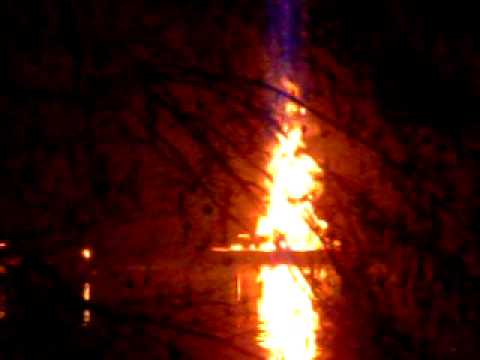 Carnevale a Trezzo sull'Adda "Povero Piero" - 2010  (1)