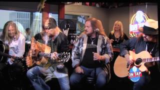 Lynyrd Skynyrd. 2014 Sweet Home Alabama. Acoustic