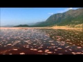 Loreena McKennitt - Skellig