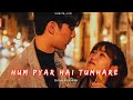 Hum Pyaar Hai Tumhare Slowed Reverb Udit Narayan Old Bollywood Lofi Song  Slowed  Lofi  90s