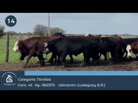 Lote Nll Inv - Gualeguay E Rios