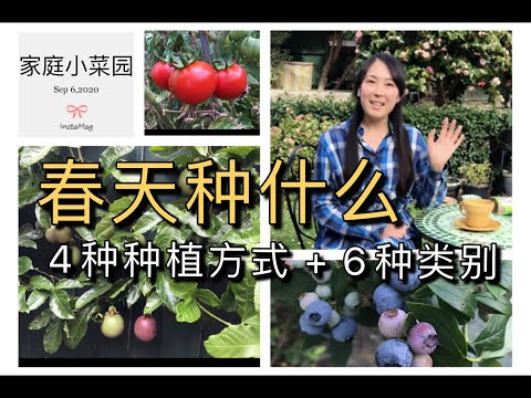 , title : '【菜园子8】种菜--春天种什么菜好？春季种植的4种种植法和6大蔬果类别'
