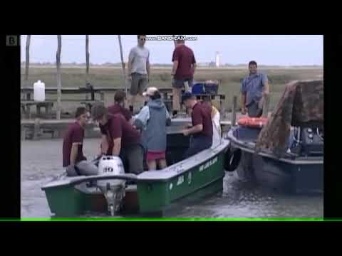 BBC News report on Venice flood project (Wednesday 17th July 2002)