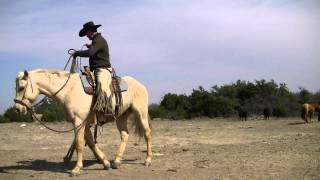 Turnover, del viento, blocker shots