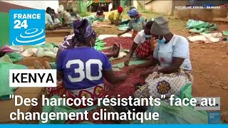 Kenya : des haricots résistants face au changement climatique • FRANCE 24