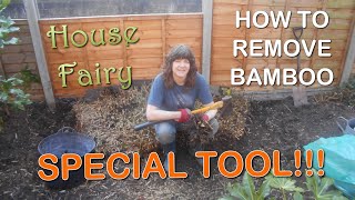 How To Get Rid Of Bamboo From Your Garden - Special Handmade Tool