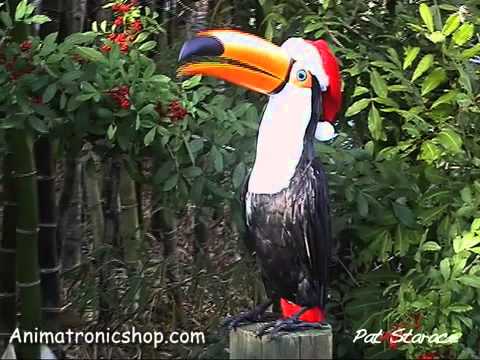 Toucan sings Feliz Navidad Funny (Parroty)