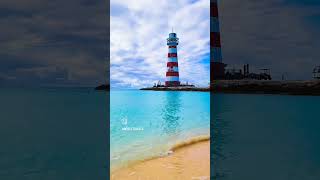 MSC Ocean Cay Marine Reserve, Bahamas #shorts