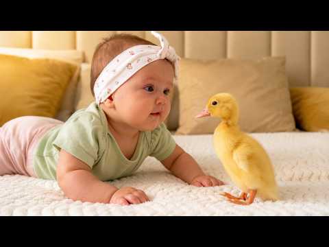 YouTube 썸네일