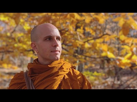 Purifying the Mind (MN2 Sabbasava Sutta), part 2/2, with Bhante Suddhaso