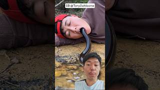 Download lagu Fish Go In Side 😯🐬😁 #funny #comedy #shorts mp3