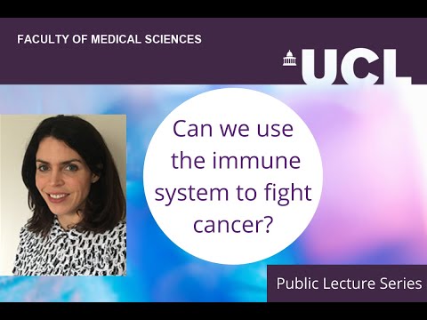 Can we use the immune system to fight cancer?