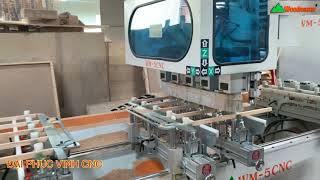 MÁY CNC MỘNG ÂM 5 Trục Phay khoan đa năng siêu tốc WM-5CNC WOODMASTER