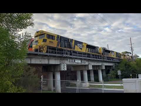(SSR 102-SSR 101-49 11-49 08) at Casula parklands with grain cars, 8/7/23￼￼