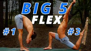 Big 5 Active Flexibility Routine! (FOLLOW ALONG)