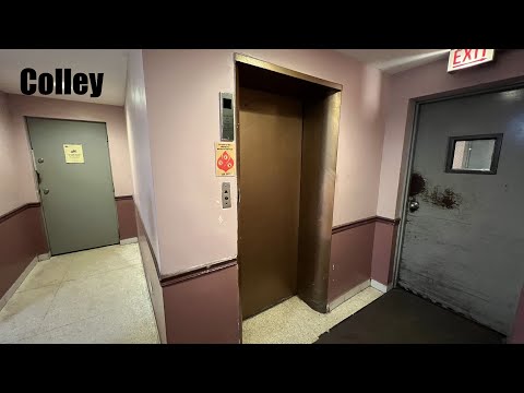 Awesome Vintage Colley Hydraulic Elevator in Chicago, IL