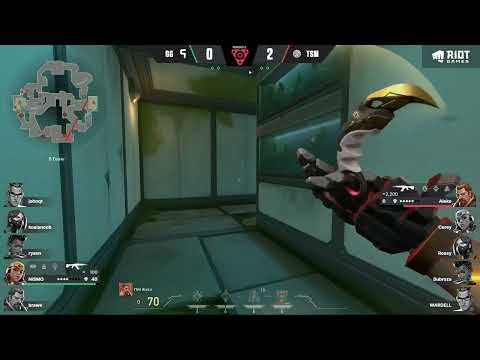 TSM Aleko big brain gamble