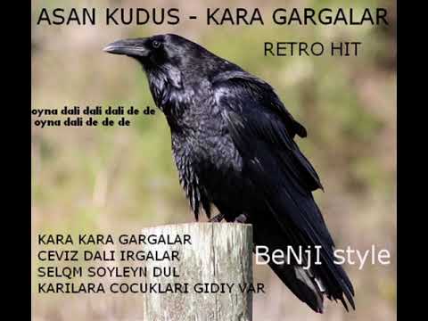 Karagarga