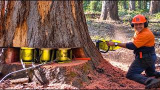 65 Most Satisfying Machines Turning Raw Material Into Perfection | Machines and 