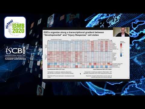 SST04-II: Gradient of developmental and injury... - Laura Richards - Special Sessions - ISMB 2020