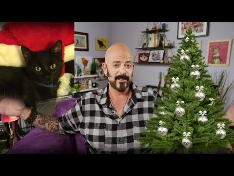 Holiday Survival Guide for Your Cats