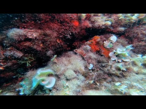 Acquarius 01 09 2019