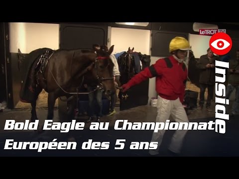 Championnat européen des 5 Ans : Bold Eagle sacré - #INSIDE